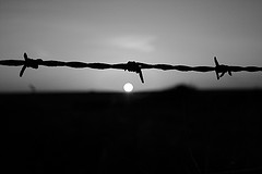 7946241182_2eddb17379_m