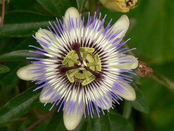 535800103_b7553b4fa4