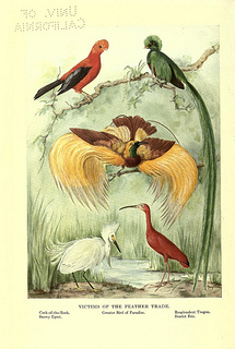 6956272927_479613cc0a_n