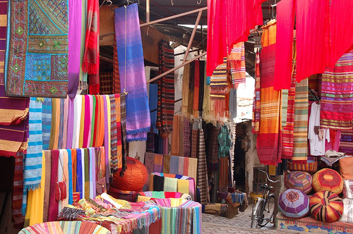 311074381_96cf2f219a