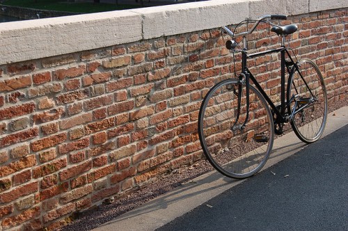 60328782_d8ad8b40c9_z