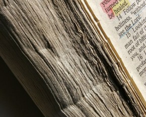 2250062732_5d9670fba0_z