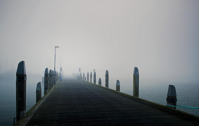 5078301307_31b7f7a46a_z