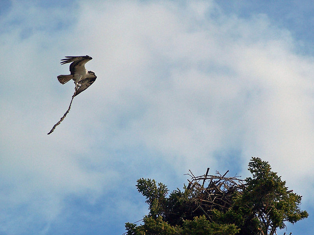 166783926_d7da370d77_z