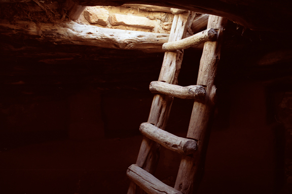 66366675_554eb09860_o