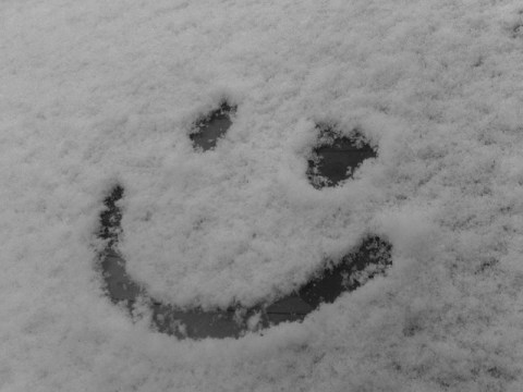 990596018_12babc76ce_z-1