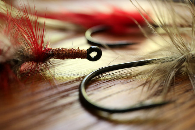 34518036102_01f4510f8d_z