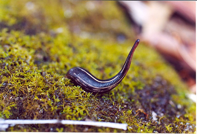 6919659219_36abdde701_z