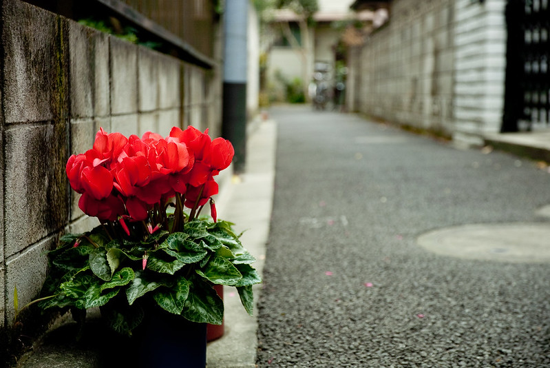 6619044187_d386687193_c